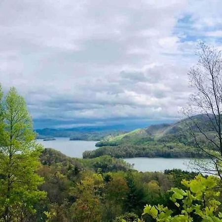 Cabin At The Cove At Watauga Lake Butler 외부 사진