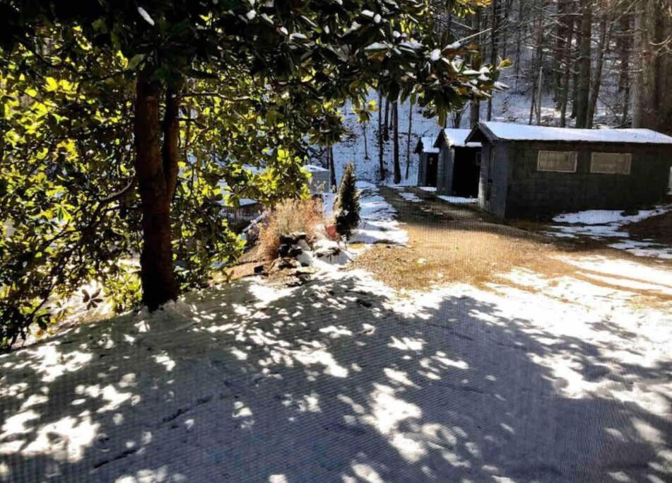 Cabin At The Cove At Watauga Lake Butler 외부 사진